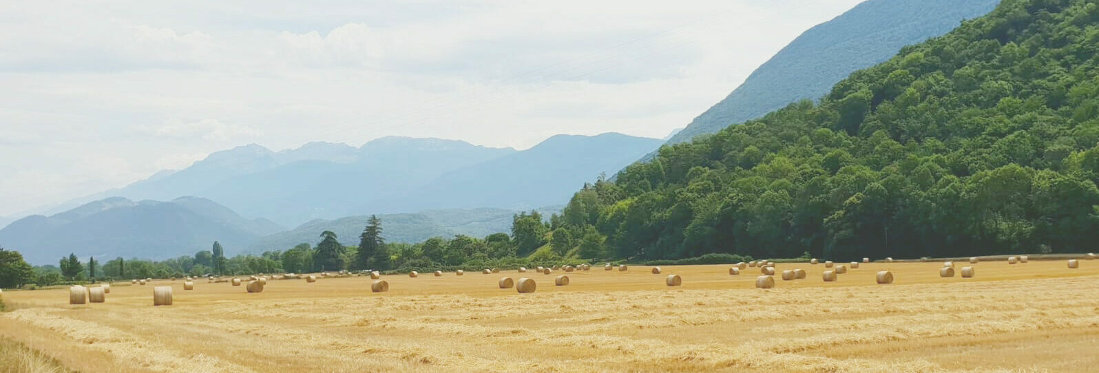 La Santon à Vif