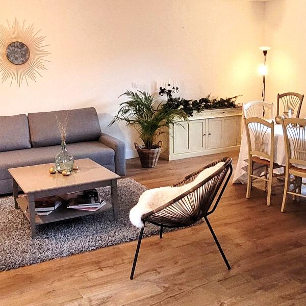 Le Gîte - Salon - Maison d'Hôte La Santon - VIF