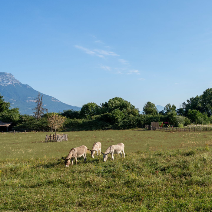 La Santon-photo-Annie-Frenot-9