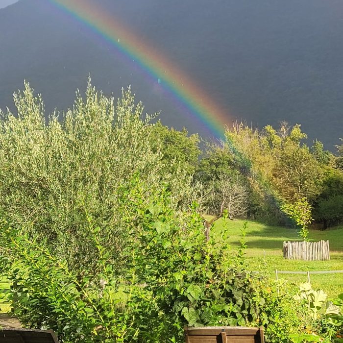 WhatsApp Image 2025-10-17 at 09.33.36